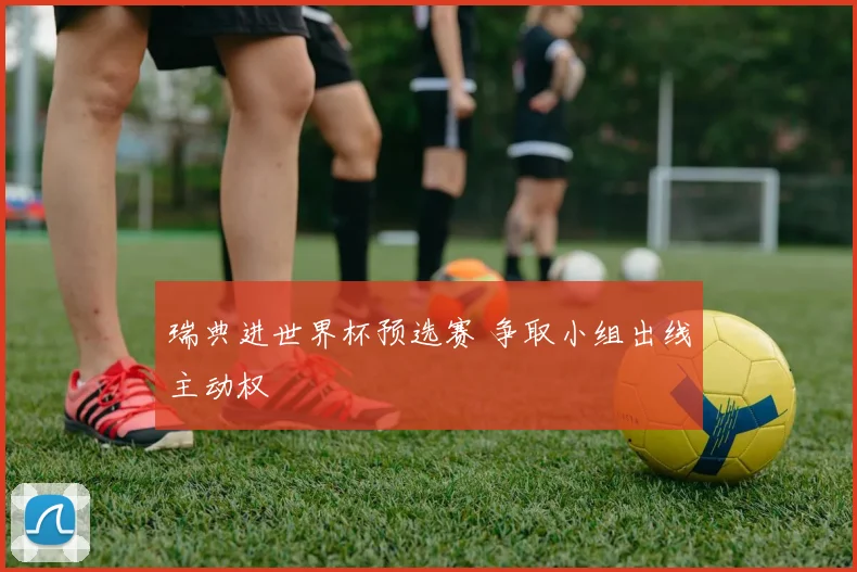 瑞典进世界杯预选赛 争取小组出线主动权
