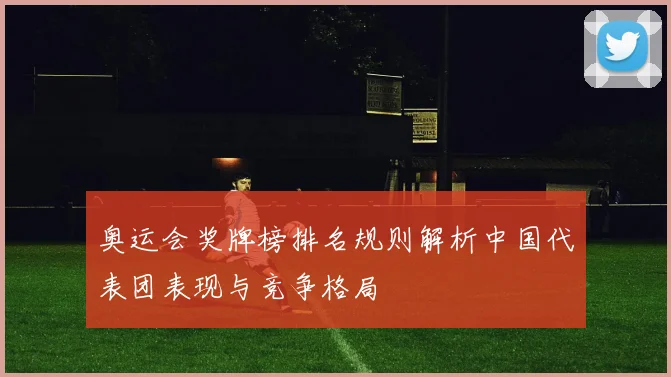 奥运会奖牌榜排名规则解析中国代表团表现与竞争格局