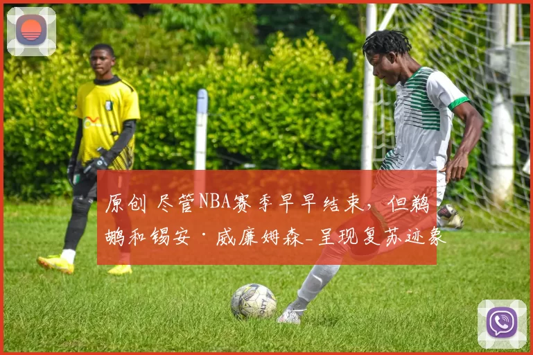 原创 尽管NBA赛季早早结束，但鹈鹕和锡安·威廉姆森_呈现复苏迹象_